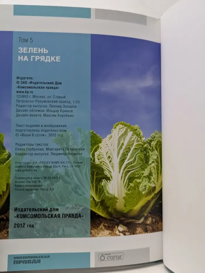 Моя чудесная дача. Том 5. Зелень на грядке