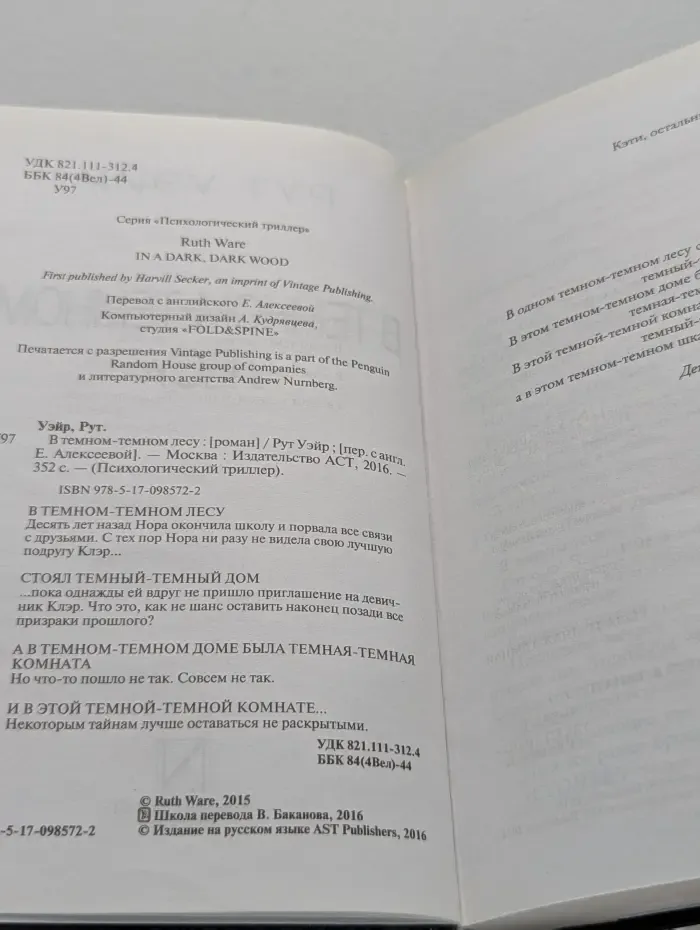 Психологический триллер. В темном-темном лесу