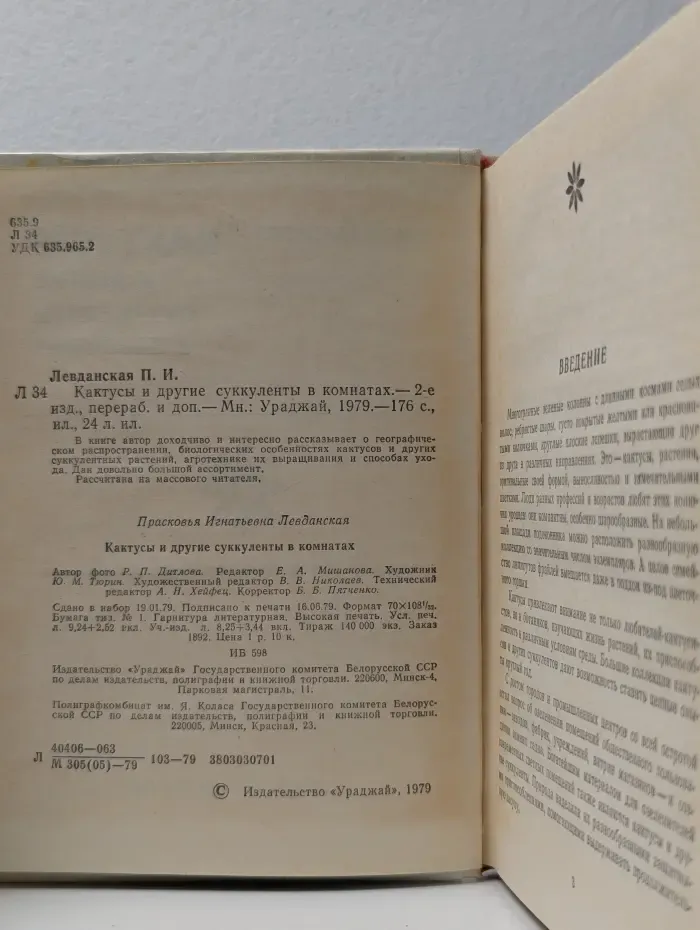 Кактусы и другие суккуленты в комнатах