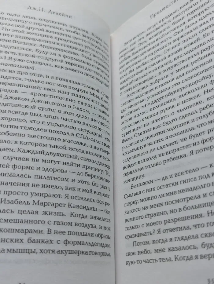 Предшественница