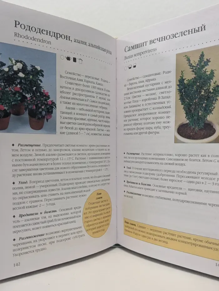 Комнатные растения. Новое руководство по уходу