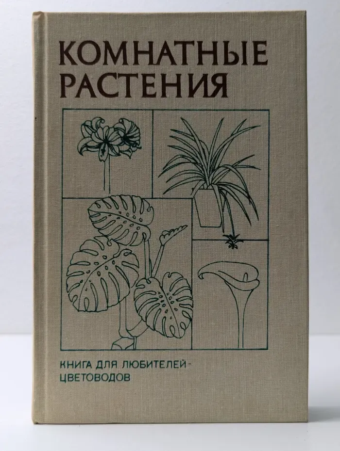 Комнатные растения