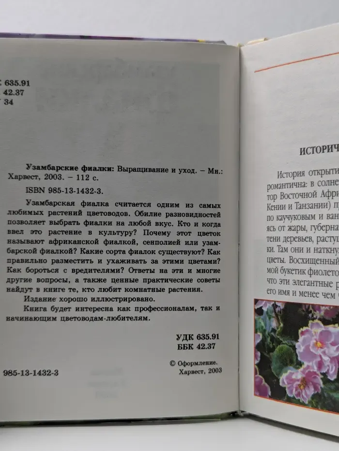 Узамбарские фиалки. Выращивание и уход