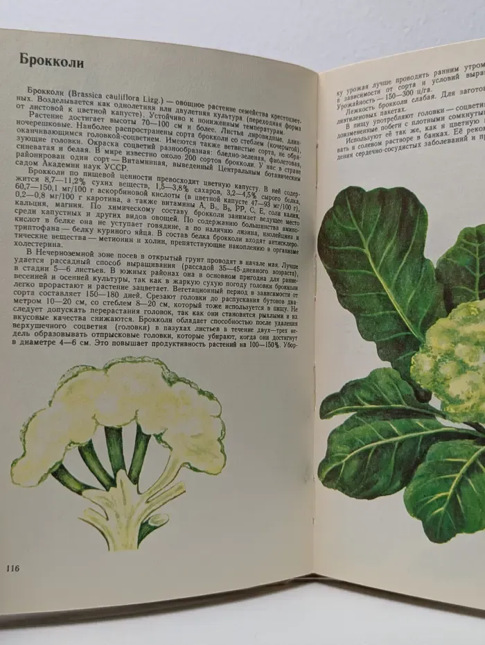 Зеленые, пряно-вкусовые, многолетние и другие овощи. Каталог