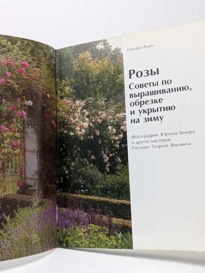 Советы садоводу. Розы. Очарование в саду
