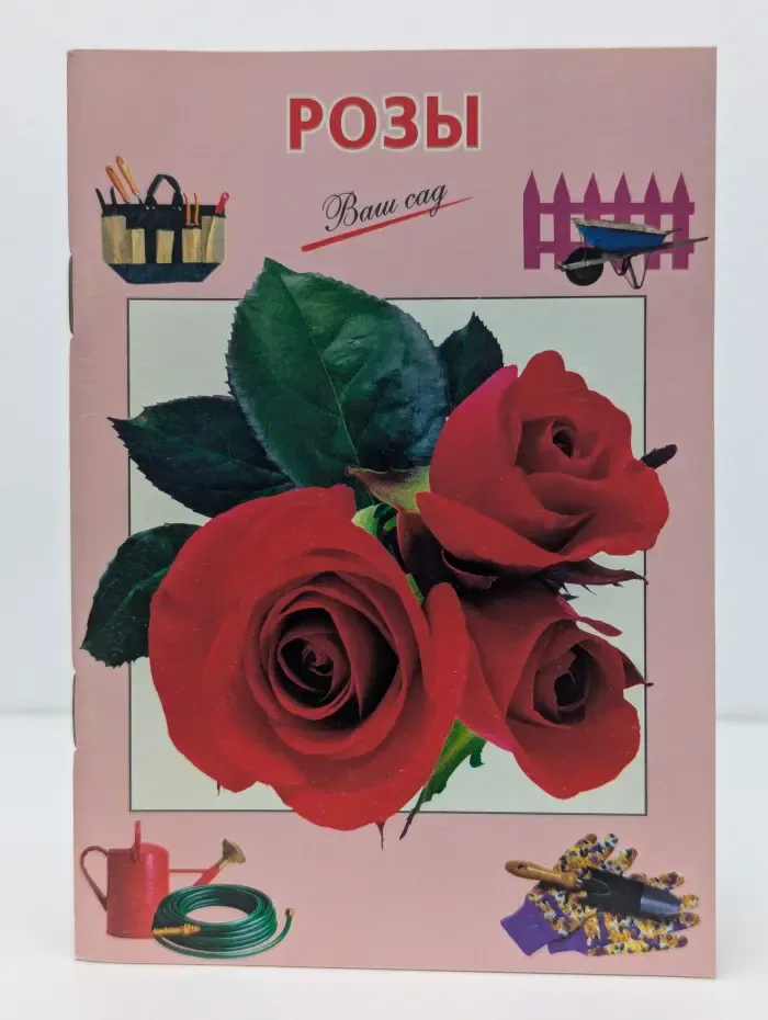 Розы