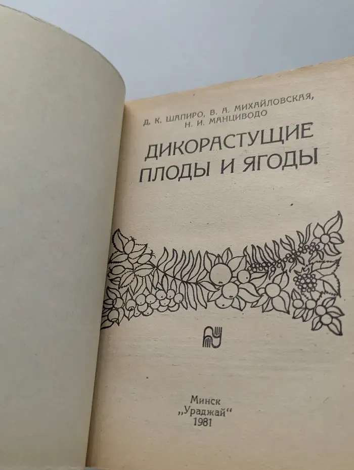 Дикорастущие плоды и ягоды