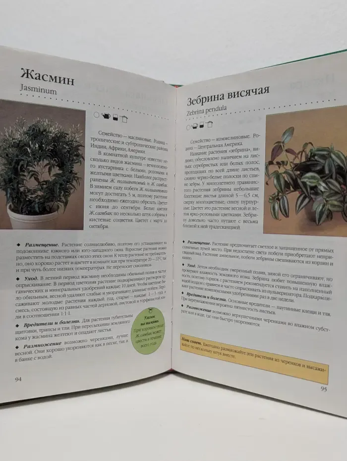 Комнатные растения. Новое руководство по уходу