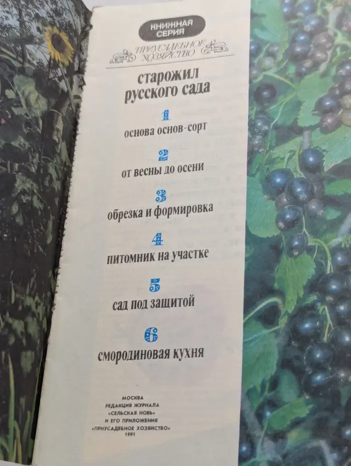 Приусадебное хозяйство. Старожил русского сада