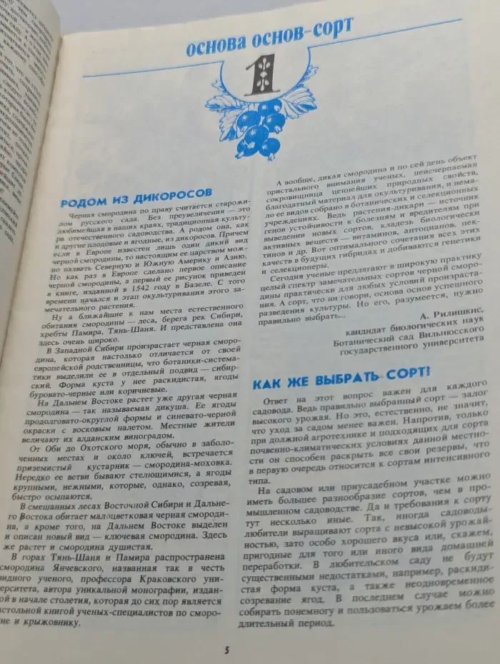 Приусадебное хозяйство. Старожил русского сада