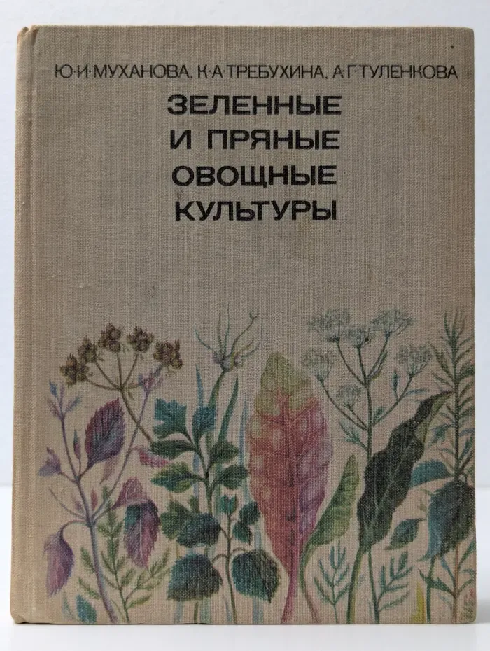 Зеленые и пряные овощные культуры