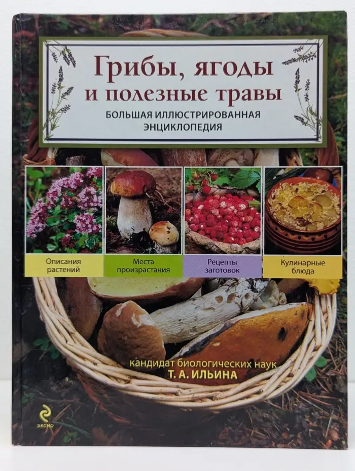 Грибы, ягоды и полезные травы. Большая иллюстрированная энциклопедия