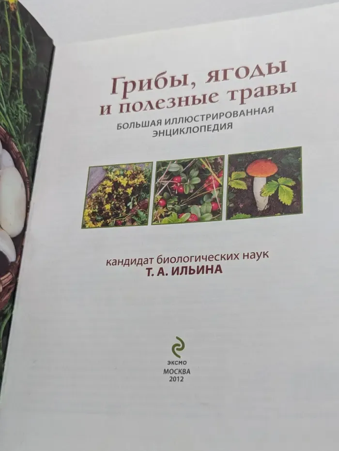 Грибы, ягоды и полезные травы. Большая иллюстрированная энциклопедия