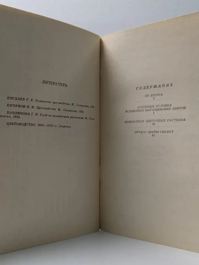 Цветы в квартире