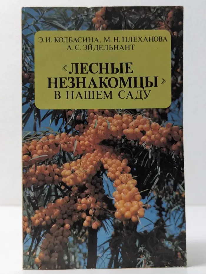 "Лесные незнакомцы" в нашем саду