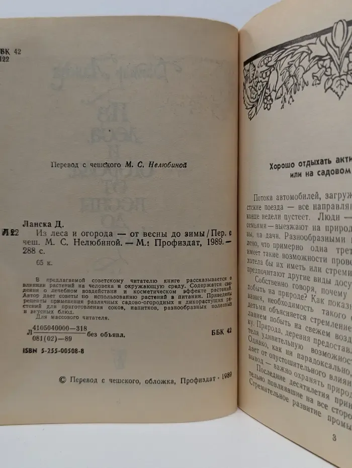 Из леса и огорода - от весны до зимы