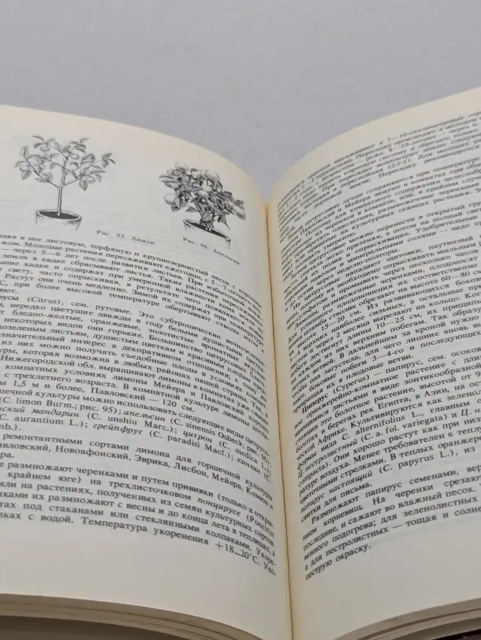 Цветоводство для всех