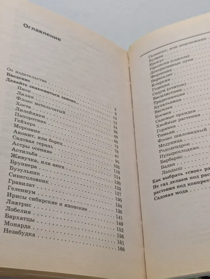 Цветы у вашего дома