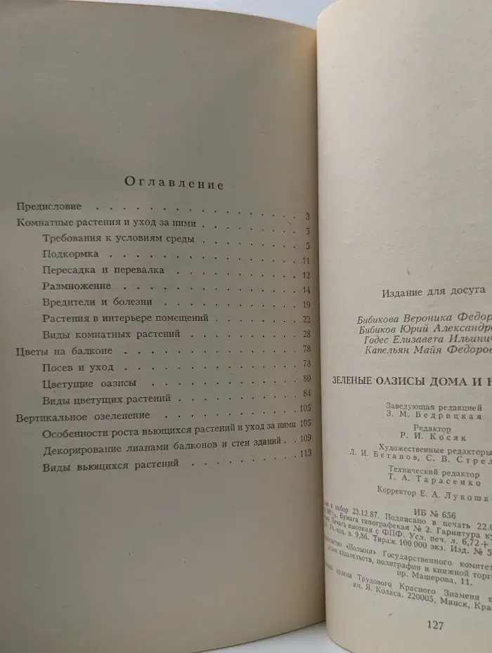 Зеленые оазисы дома и на работе