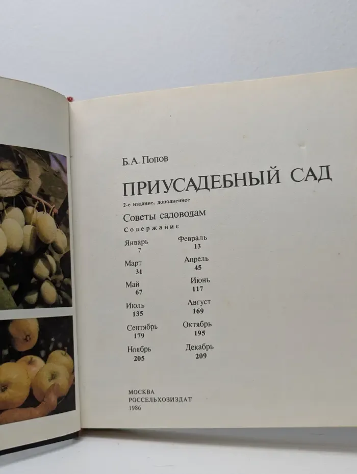 Приусадебный сад