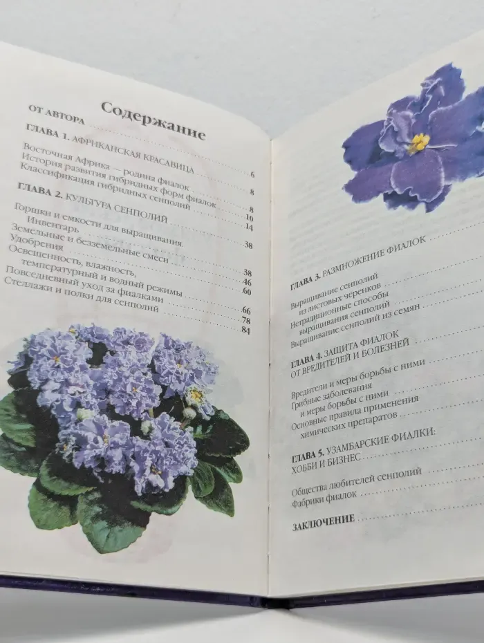 Узамбарские фиалки