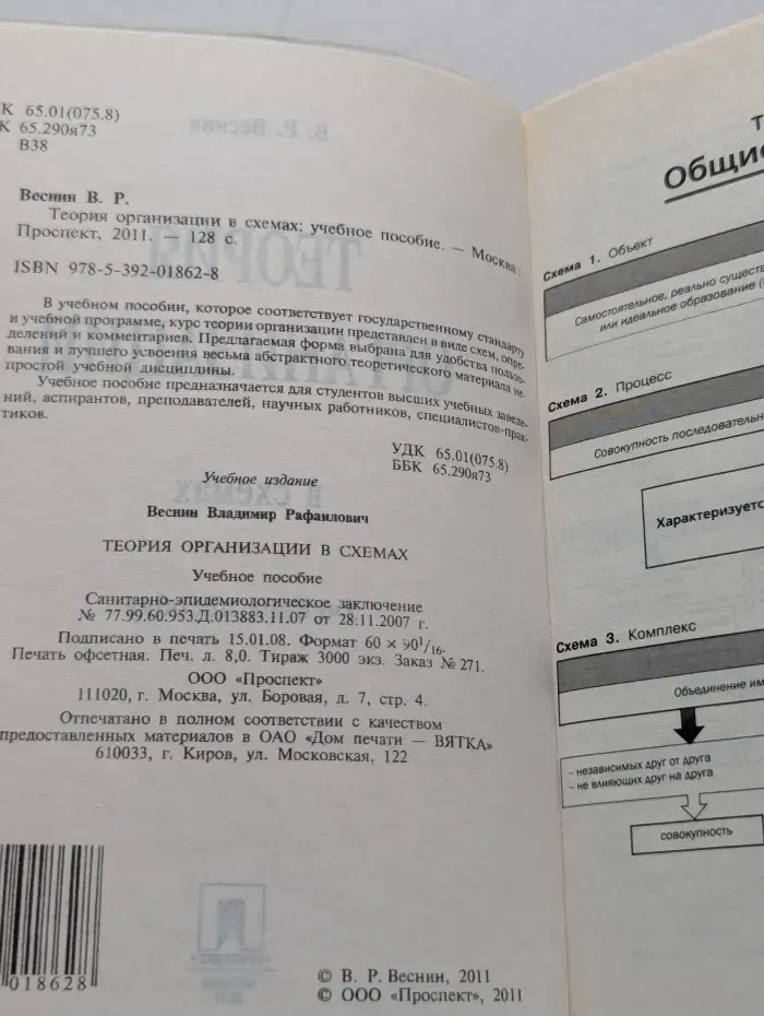 Теория организации в схемах