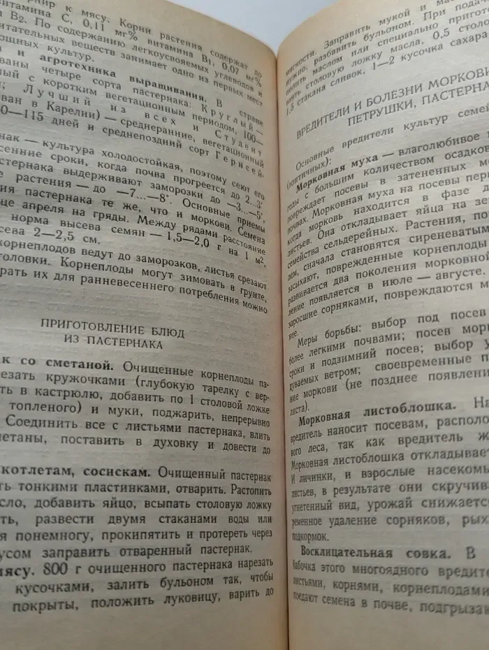 На приусадебном участке. Советы садоводу и огороднику