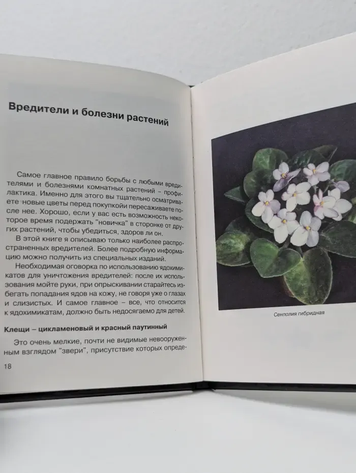 Библиотека цветовода. Фиалки. Saintpaulia, Streptocarpus, Sinningia speciosa