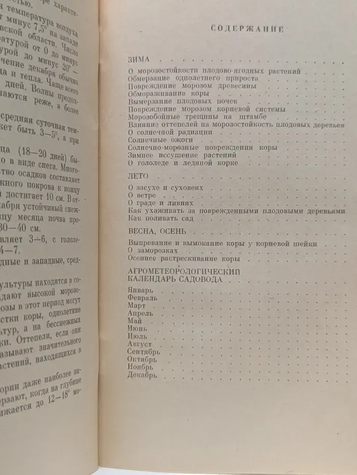 Погода и сад