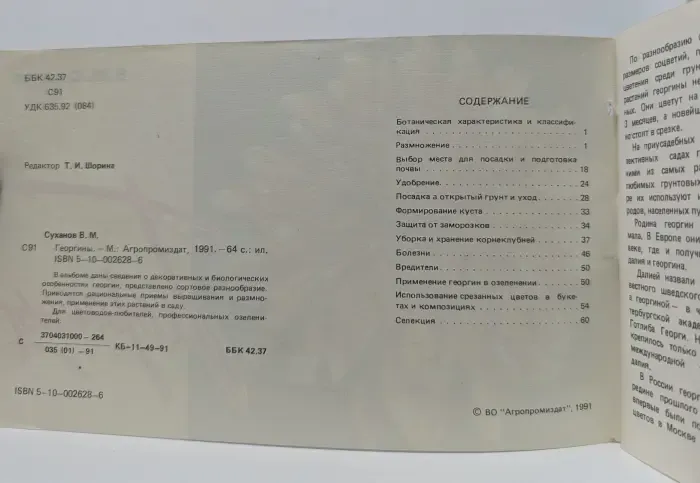 Георгины