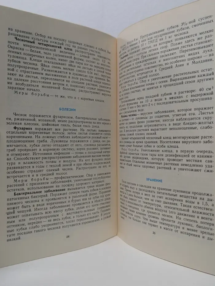 Библиотечка овощевода-любителя. Чеснок