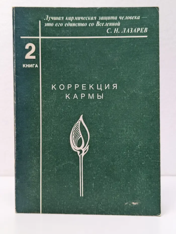 Коррекция кармы. Книга 2