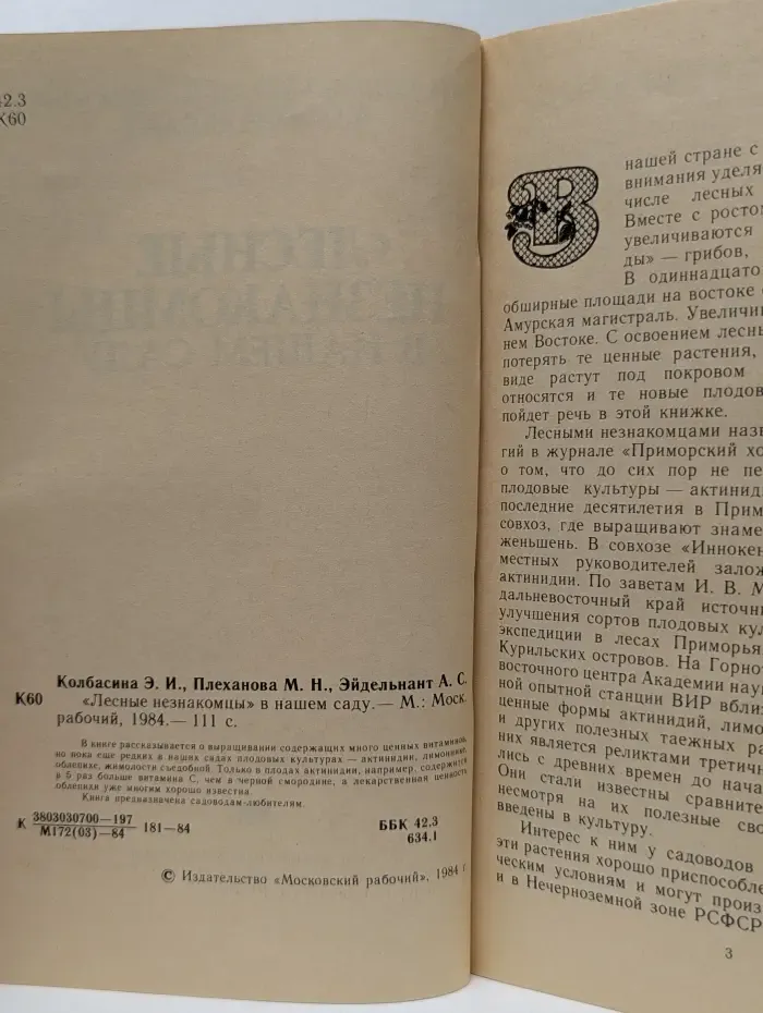 Лесные незнакомцы в нашем саду