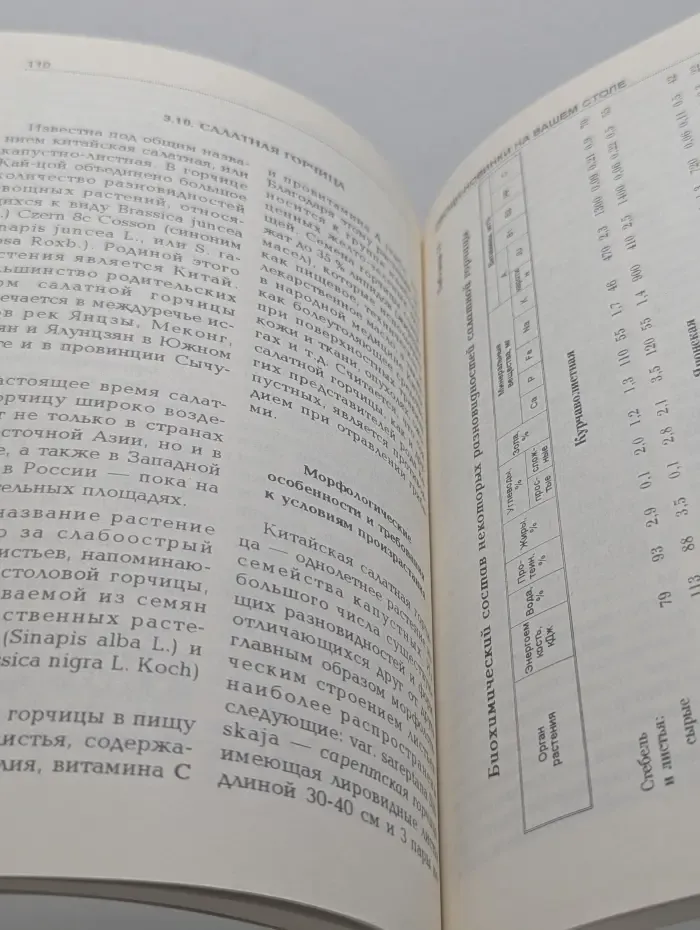 Овощи-новинки на вашем столе