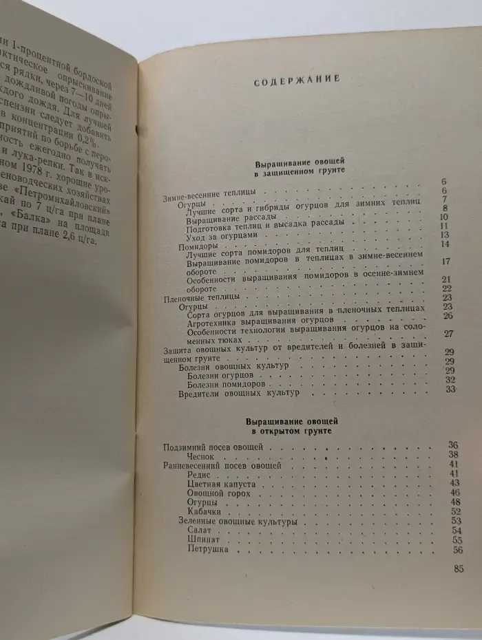 Как выращивать овощи круглый год