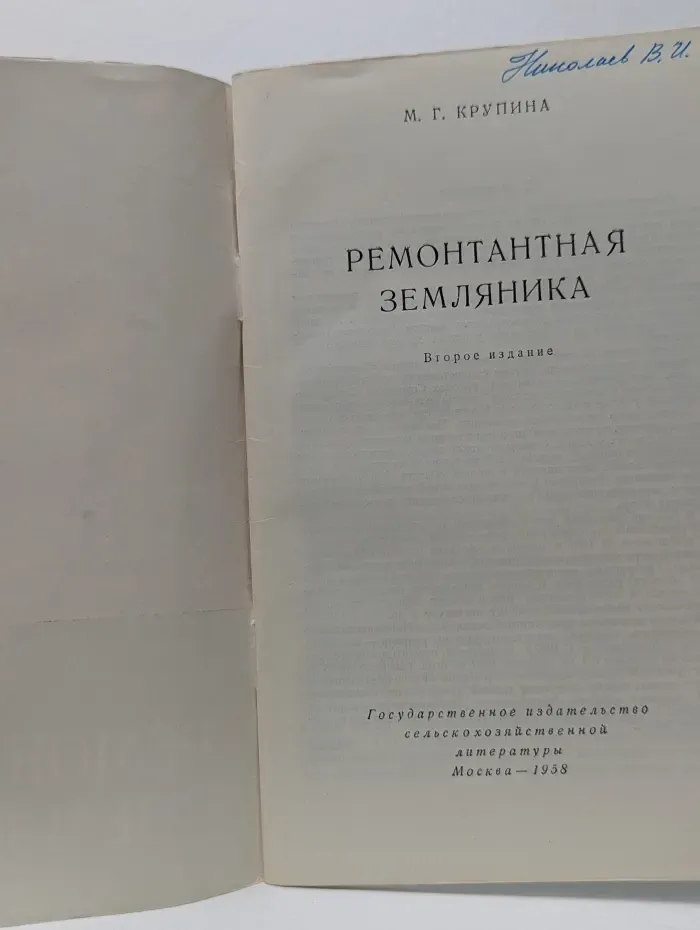Ремонтантная земляника