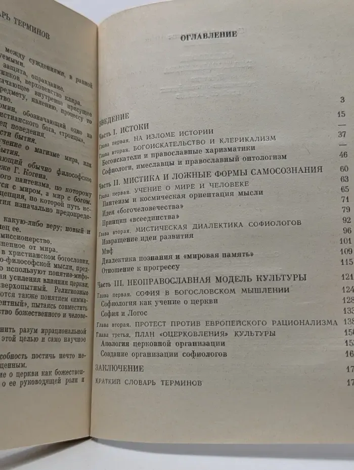 Философия богоискательства. Критика религиозно-философских идей софиологов
