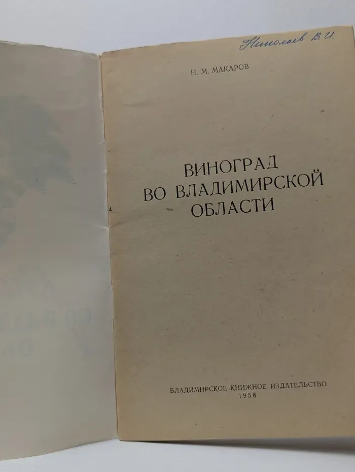 Виноград во Владимирской области