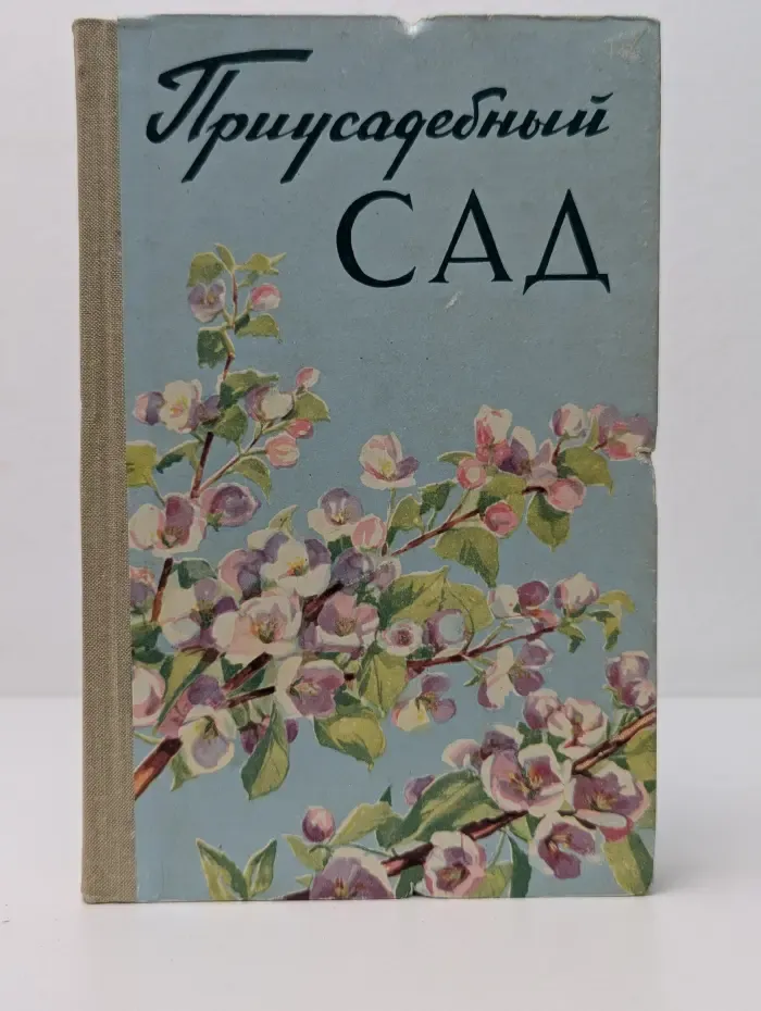 Приусадебный сад
