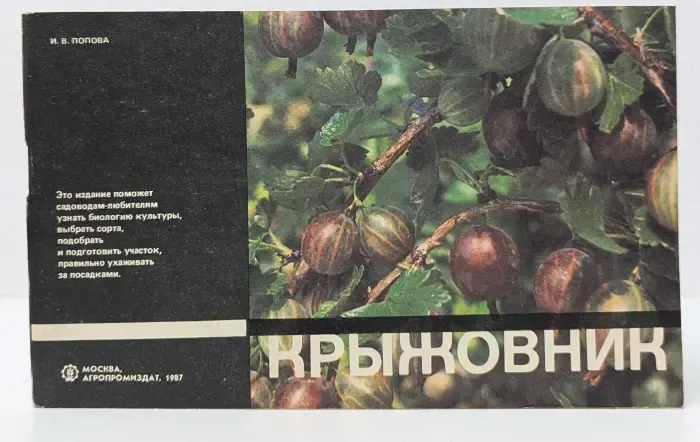 Крыжовник