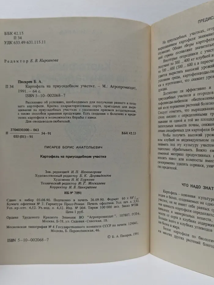 Картофель на приусадебном участке