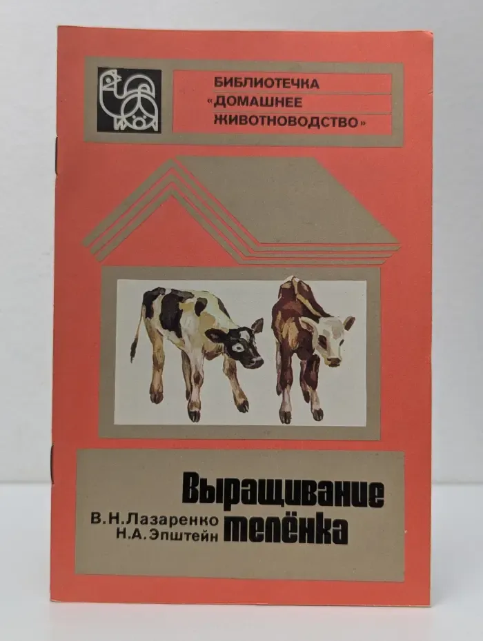 Выращивание телёнка