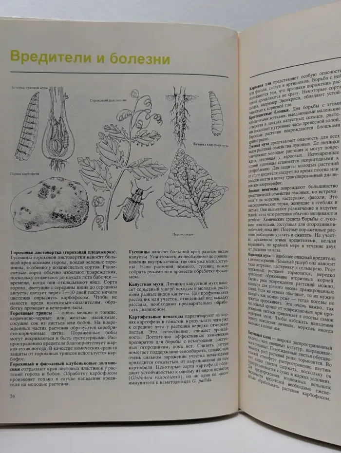 В помощь садоводам и огородникам. В помощь огородникам и садоводам. Овощные культуры