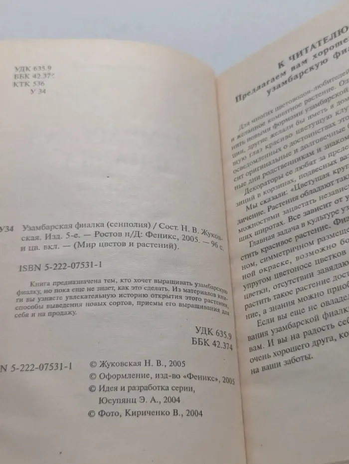 Узамбарская фиалка