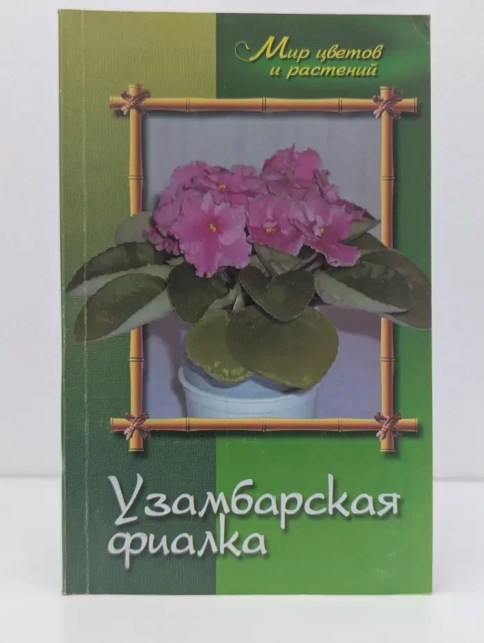 Узамбарская фиалка