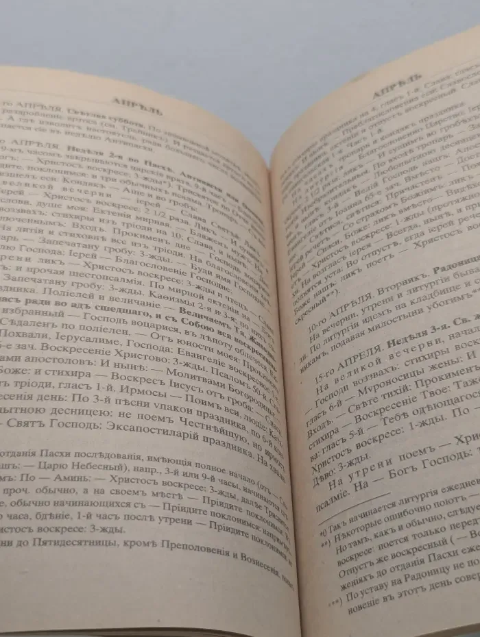 Типикон на 1996 год