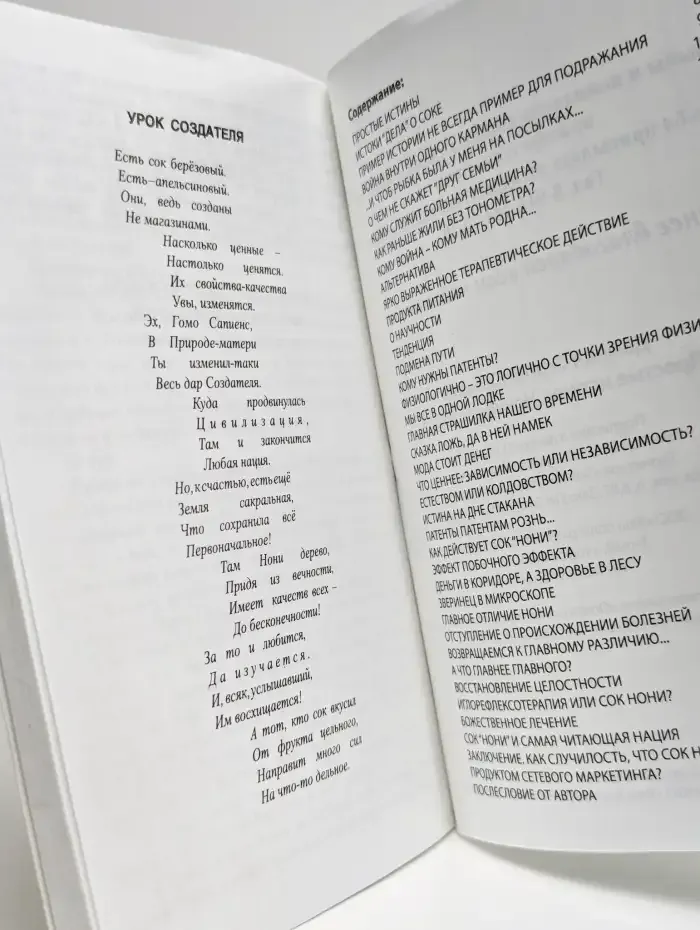 Домнин. Простые истины. Нонифилософия