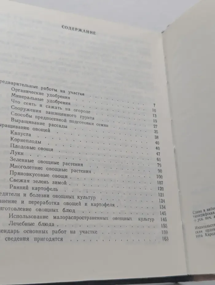 Овощи на грядке и на столе