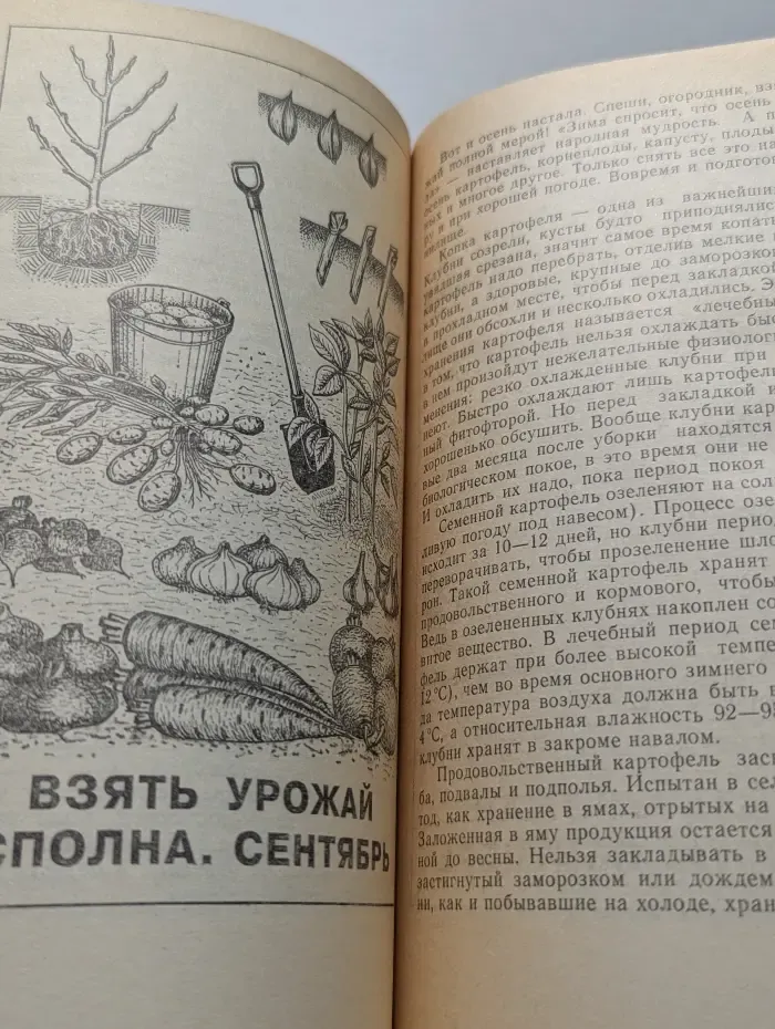 12 месяцев в саду и огороде