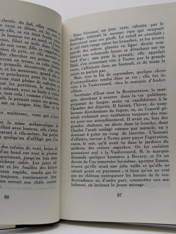 Madame Bovary